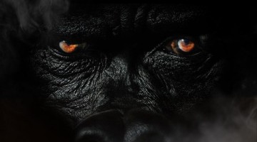 New Music: Sheek Louch ft. Fabolous & Whispers - No Losses